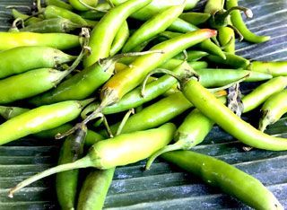A bunch of green peppers are sitting on a banana leaf.