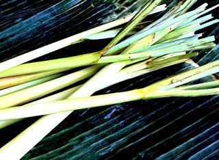 A bunch of lemongrass sticks on a black surface