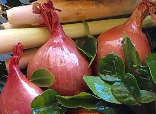 A bunch of onions sitting on top of each other on a table.