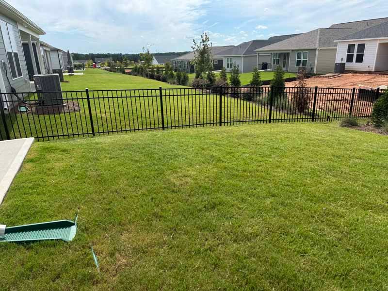 Backyard lawn with black fence, row of houses, and a green tool in the grass