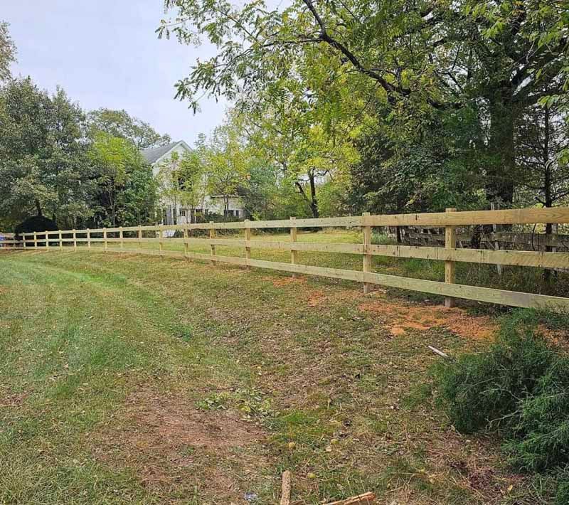 Grassy path beside a light wooden fence in a wooded rural yard under cloudy skies