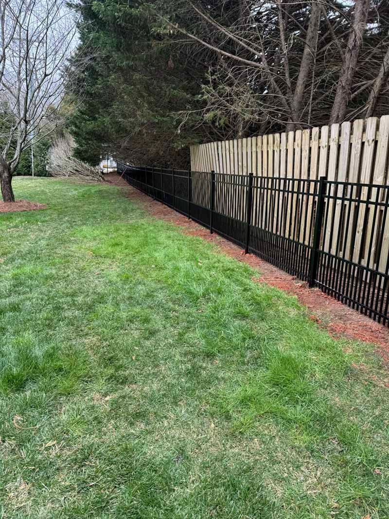 Grassy backyard beside a wooden fence and black metal gate, with trees along the edge.
