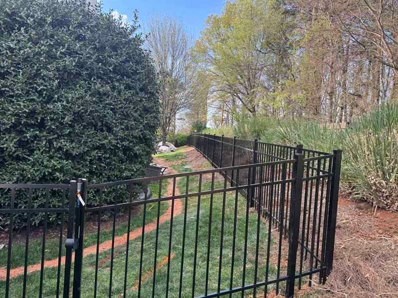 Black metal gate beside a narrow grassy path between dense hedges and trees