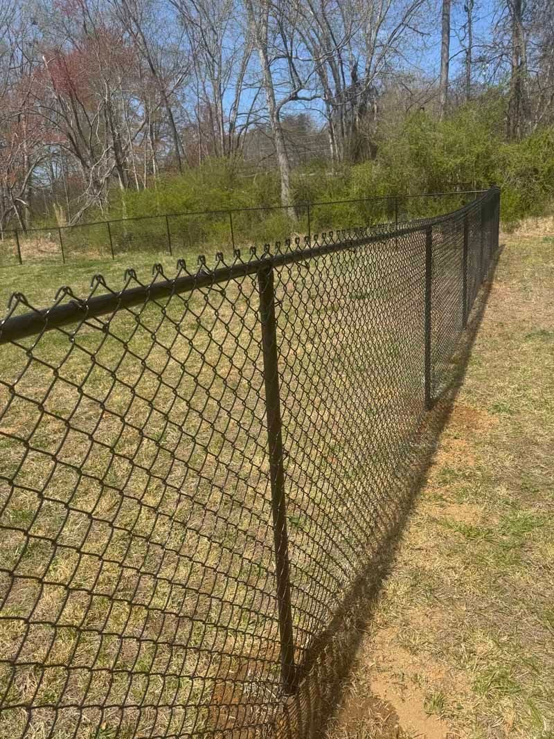 Chain-link fence along a grassy path in a wooded park on a sunny day