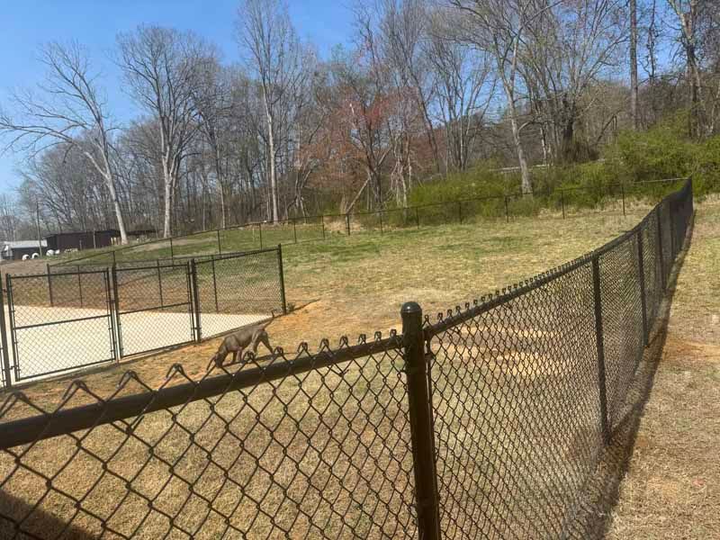 Chain-link fence around an outdoor sports court beside a wooded hillside on a clear day