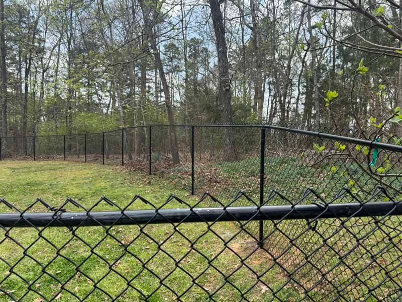 Chain-link fence beside a wooded path with trees and spring greenery