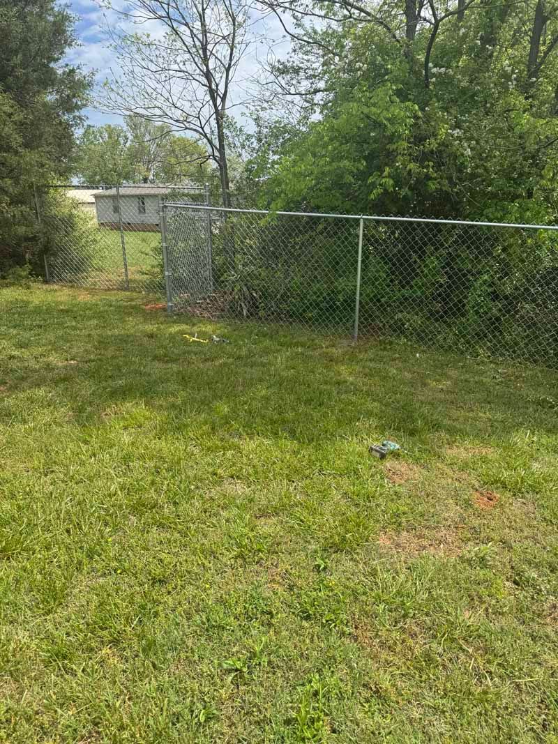 Grassy yard with a chain-link fence and trees, with a house visible in the background.