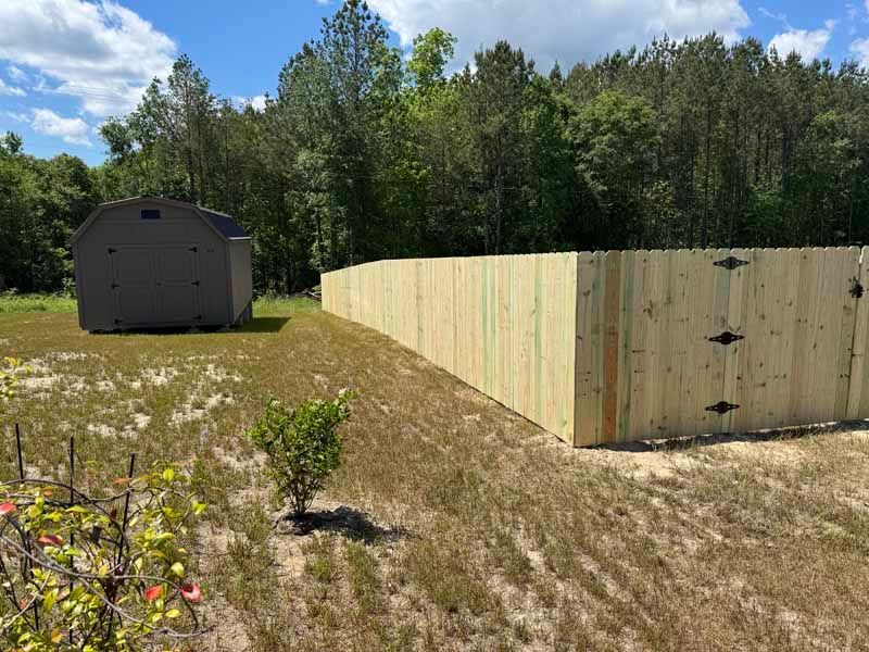 Backyard with a gray shed, light wood fence, and grassy yard under a blue sky