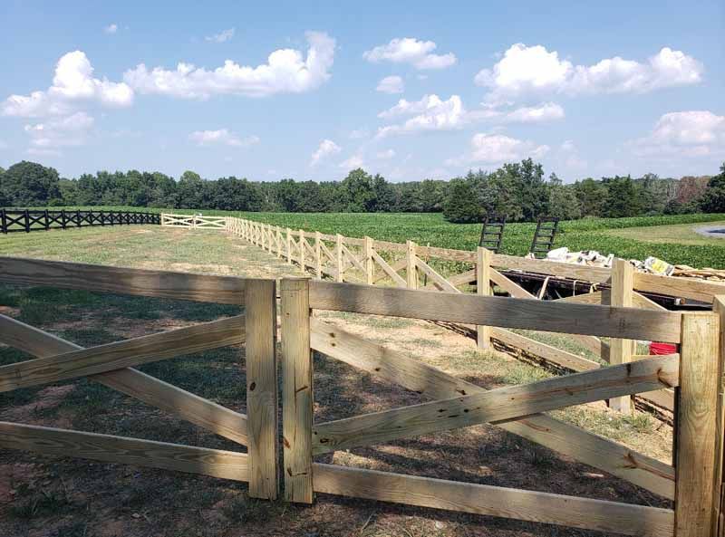 Wooden farm gate opening onto a fenced pasture with cows under a sunny sky