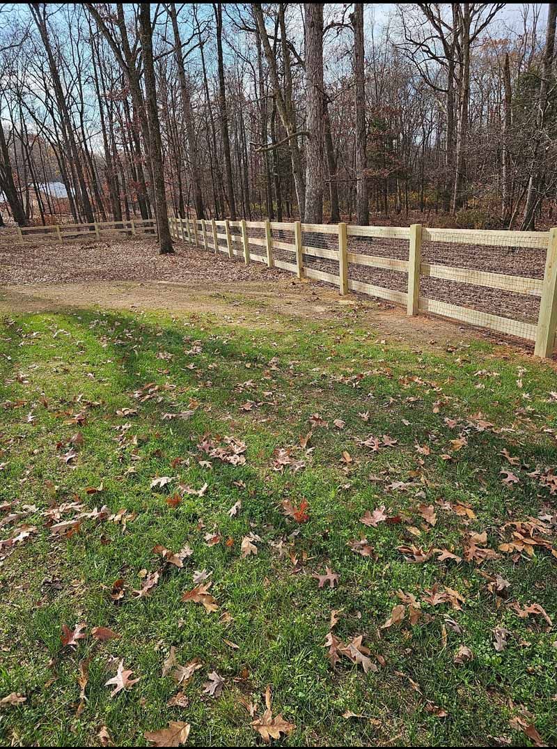 Leaf-covered grassy yard beside a wooden fence and leafless trees in a wooded area
