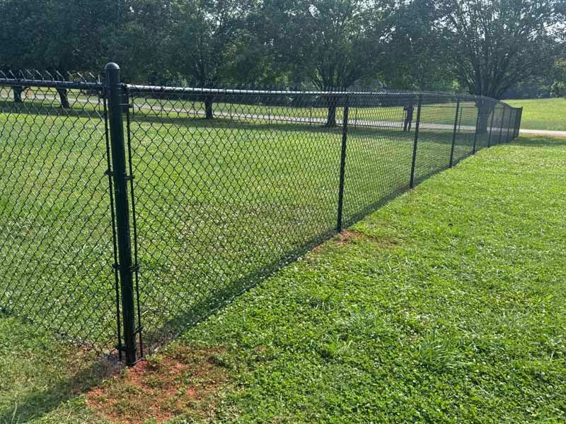 Black chain-link fence along a grassy field on a sunny day