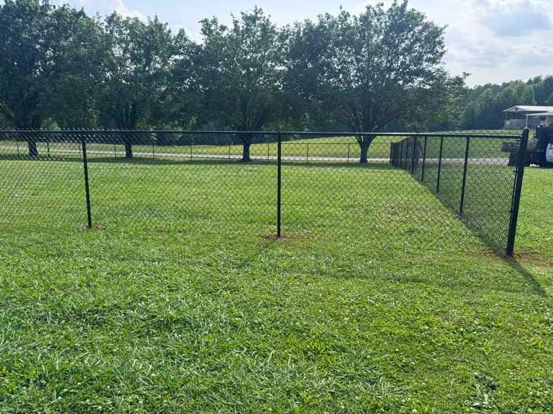 Chain-link dog run with green grass and trees in the background