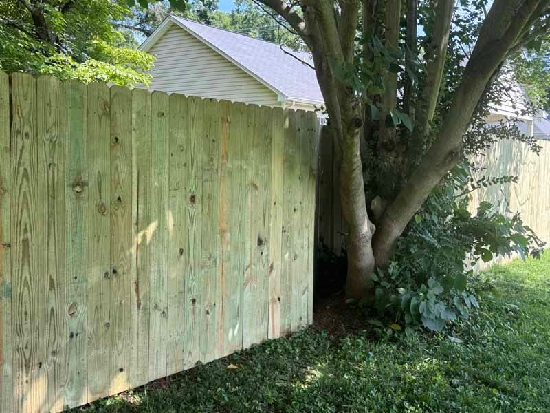 Wooden fence beside a tree in a grassy backyard, with a house visible behind it