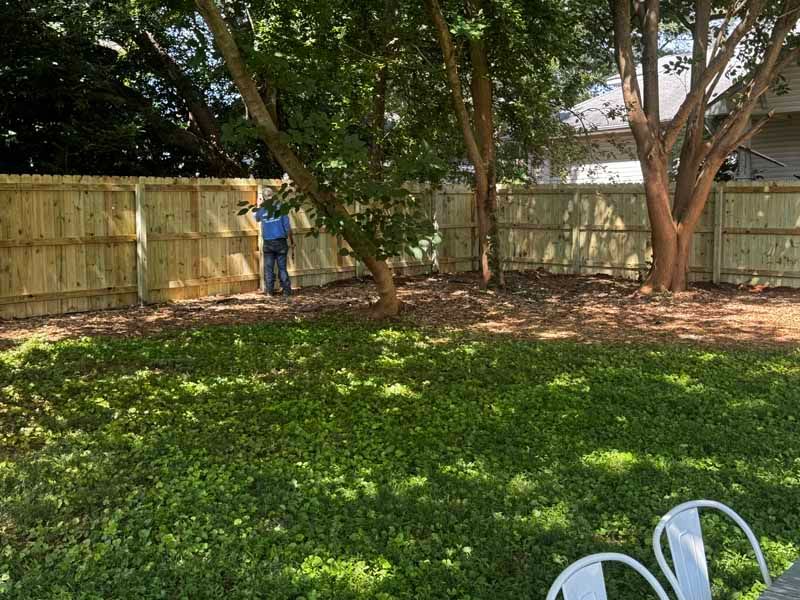 Person in blue standing by a wooden fence in a shaded backyard with trees and grass
