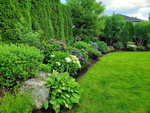 a lush green garden filled with lots of plants and flowers .
