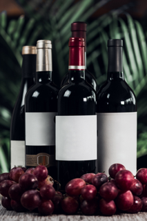 Four wine bottles with blank labels and red grapes.