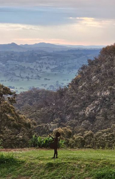 A person is standing in a field with mountains in the background.