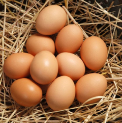 A close-up of ten brown eggs nestled in a bed of straw.