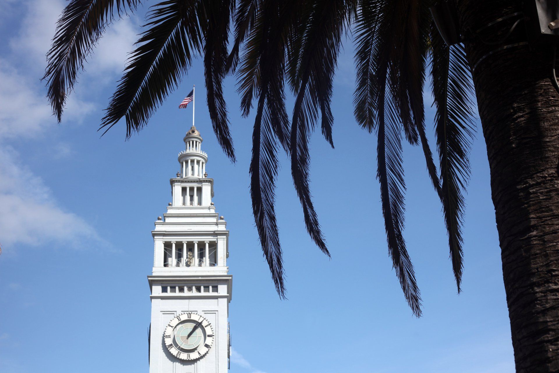 A clock tower with a palm tree in front of it