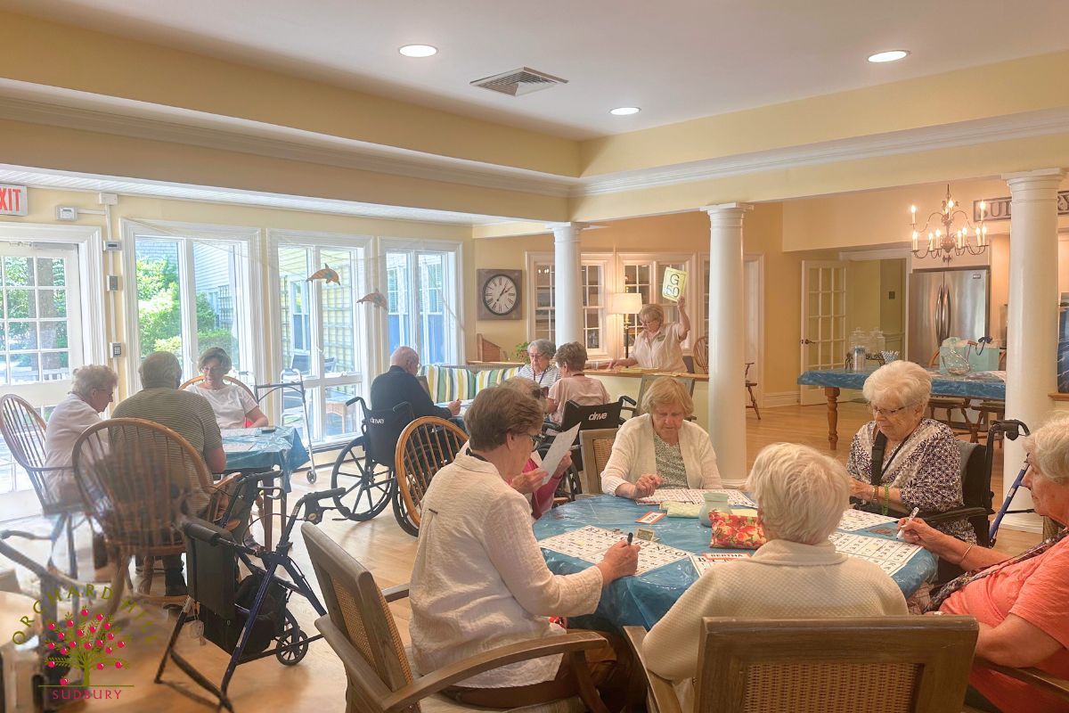 Activities for Healthy Aging: The Benefits of Cognitive Games