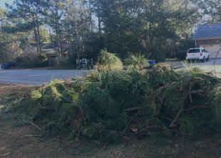 A pile of branches is sitting on the side of the road in front of a house.