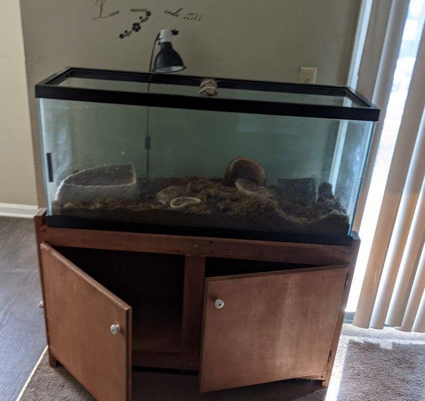 A large aquarium with a snake in it sits on a wooden cabinet