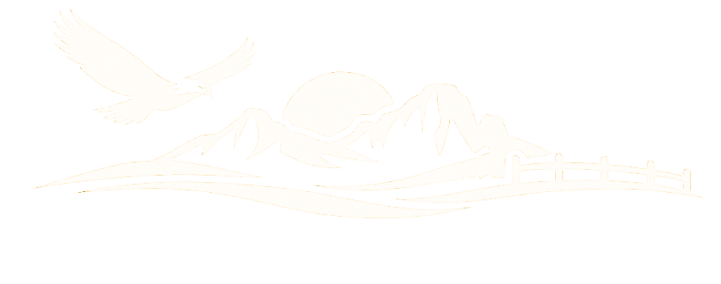 Faint sketch of a reclining figure, possibly human, with light lines against a white background.