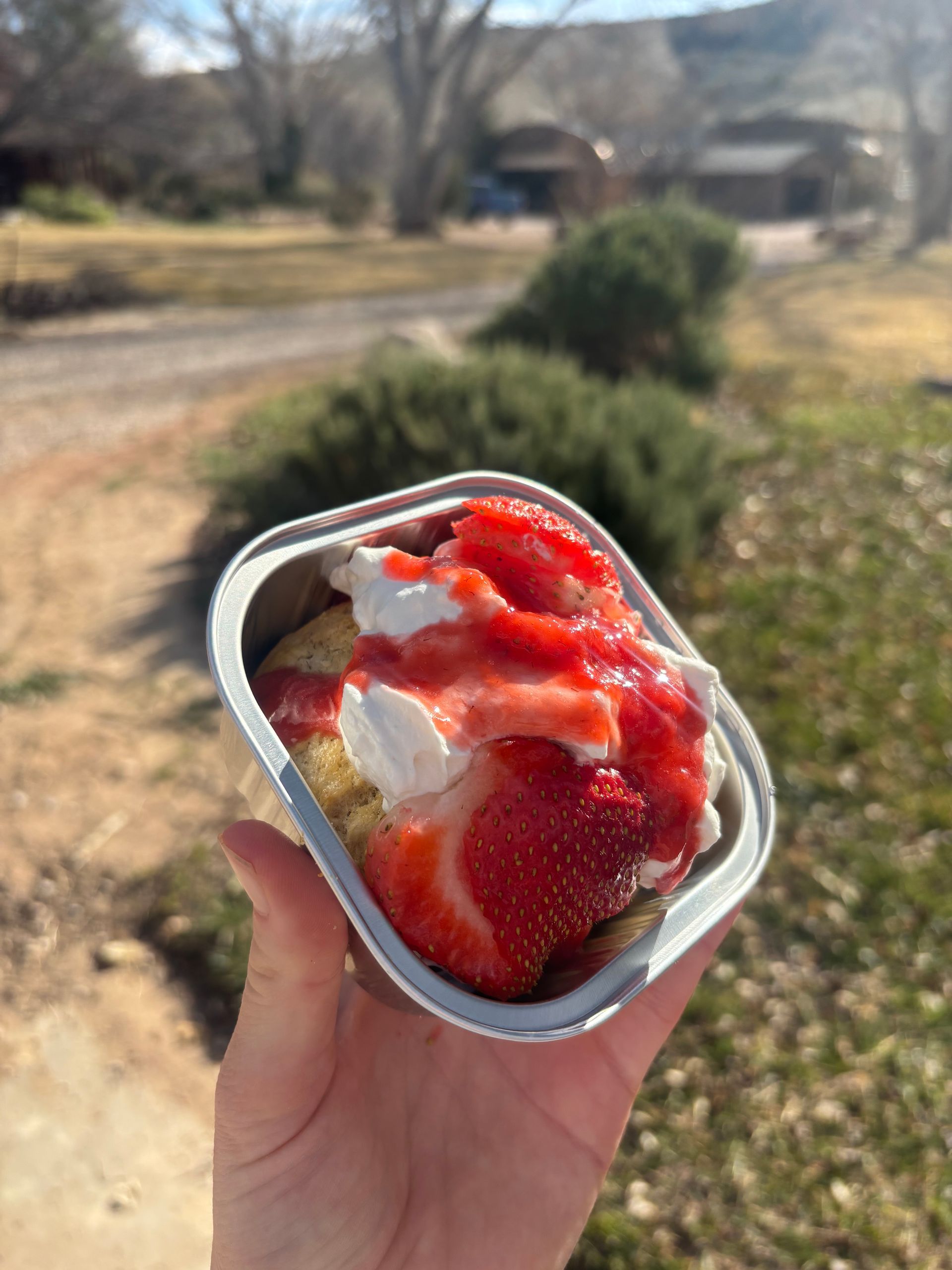 Wooden board with assorted chocolate chip and sugar-topped cookies, near a window.