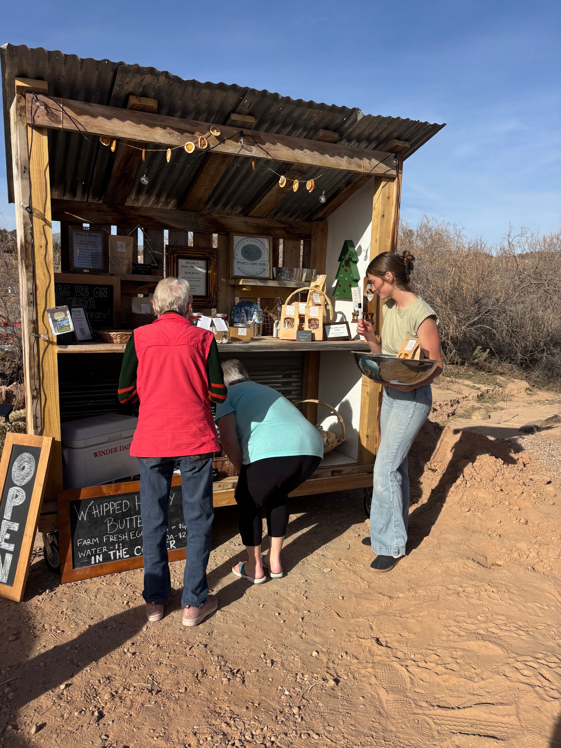 Fresh vegetables, two jars of dressing, and bread on a rustic wooden table in a garden.