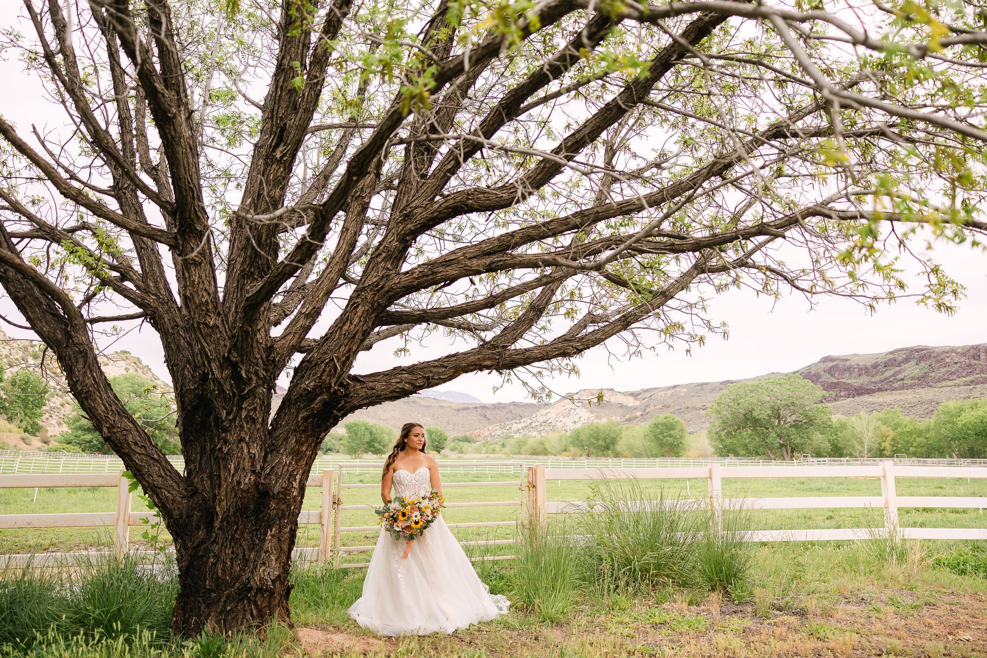 Red rock formations surround a lush green lawn and building, under a blue sky.