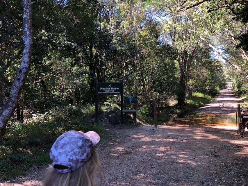 A person wearing a hat is standing on a dirt road in the woods.