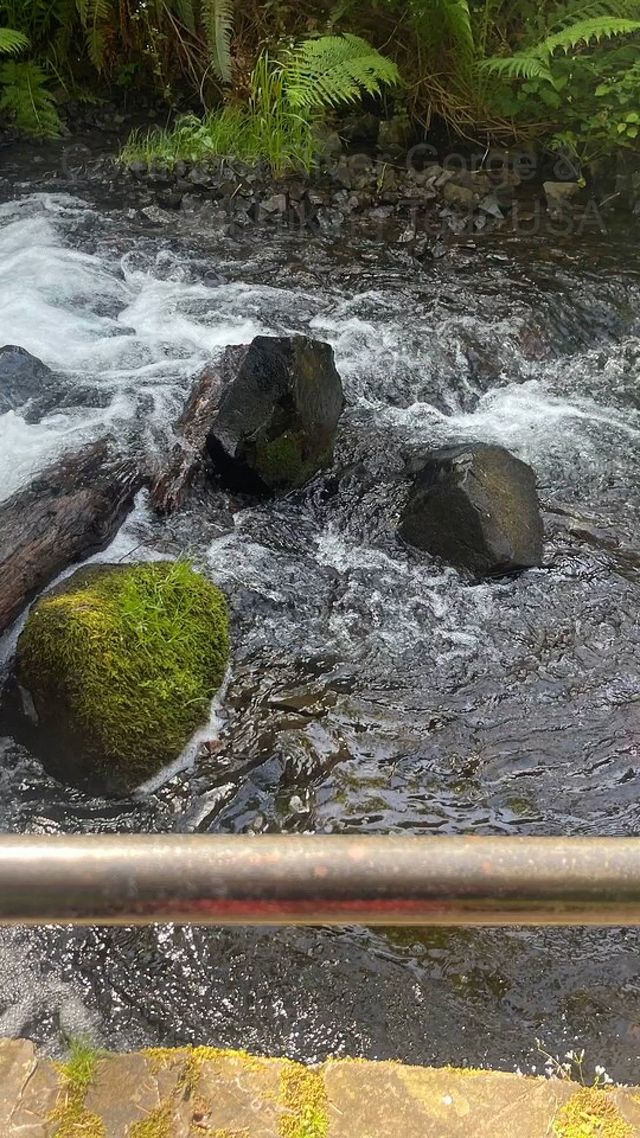 Columbia River Gorge Waterfall Half-Day Hiking Adventure USA