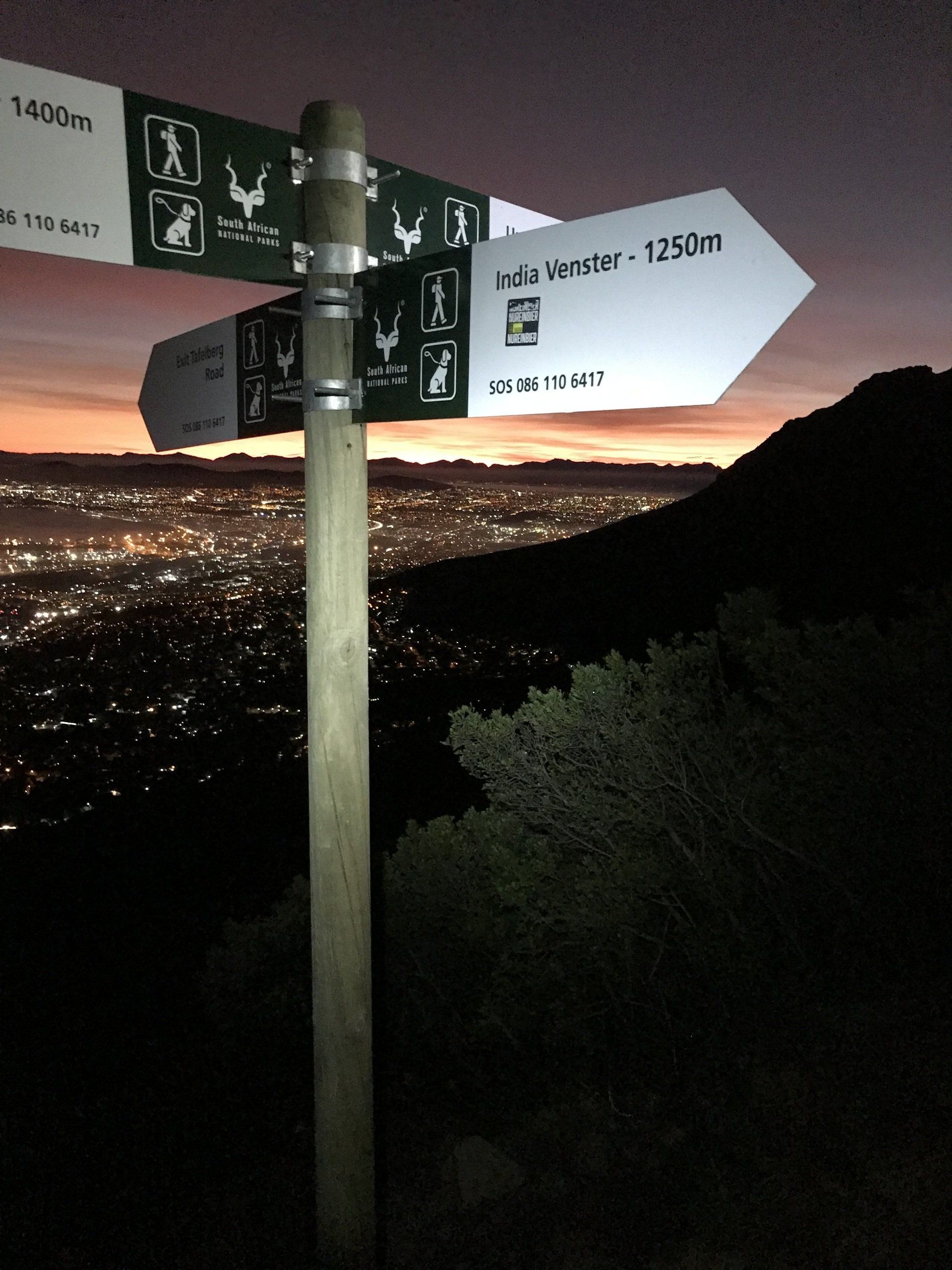 Hiking lions head with head light