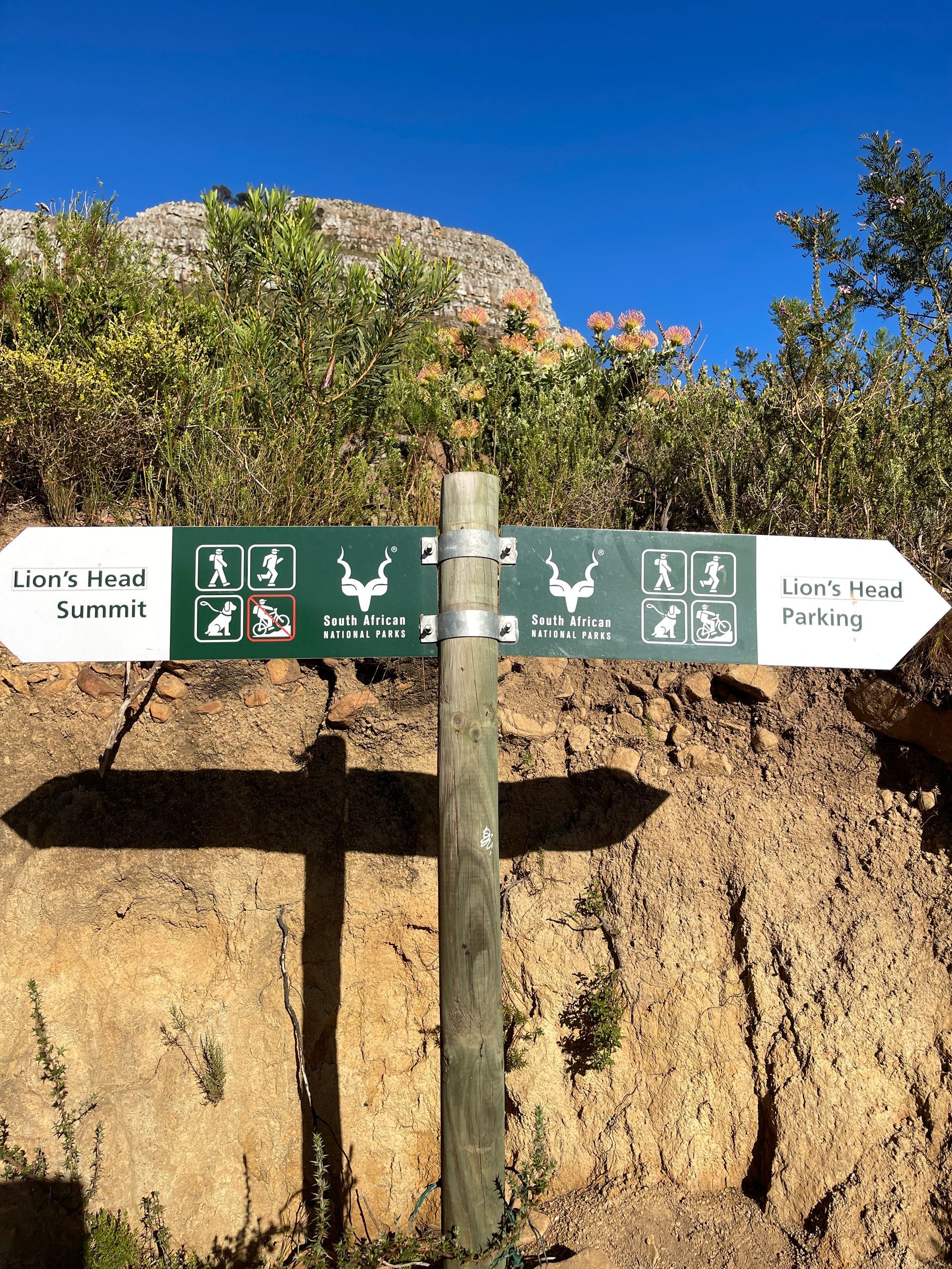 Close-up of the Lions Head mountain start point sign, indicating the beginning of the iconic hiking