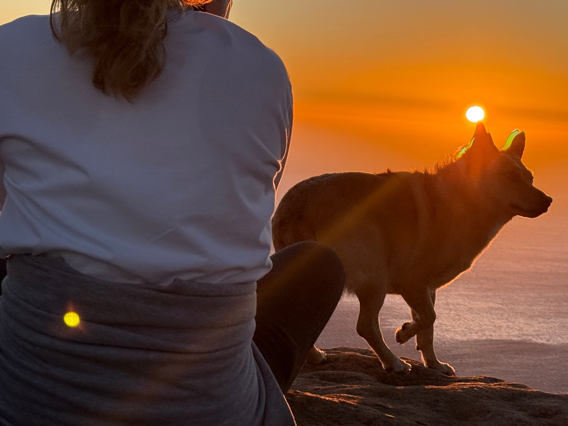 A woman sitting next to a dog watching the sun set over the ocean