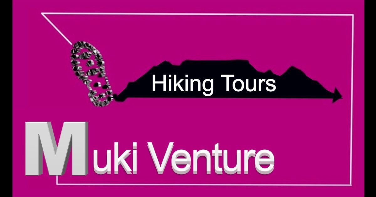 A logo for hiking tours with a mountain in the background