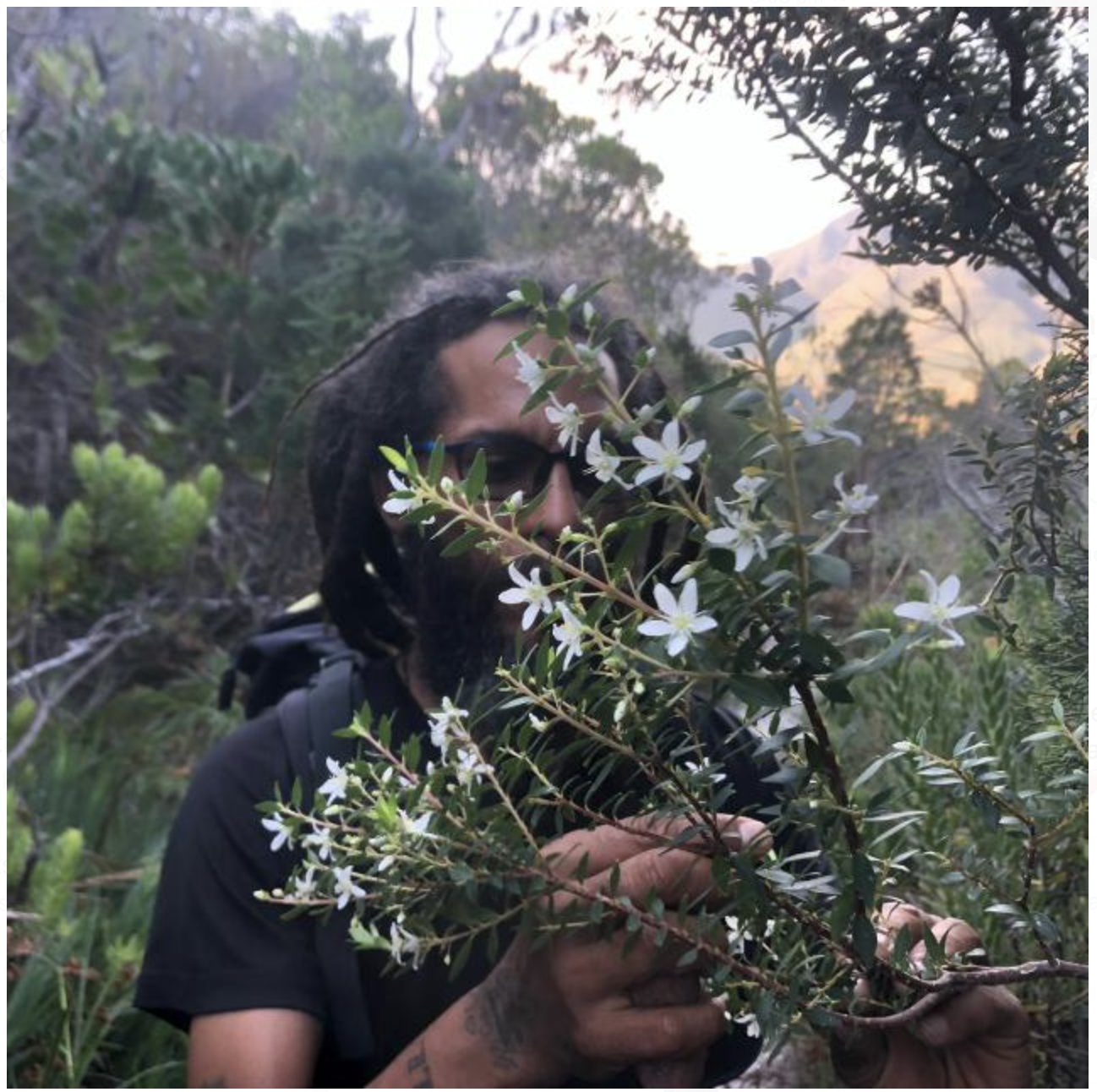 A man with dreadlocks is holding a plant with white flowers