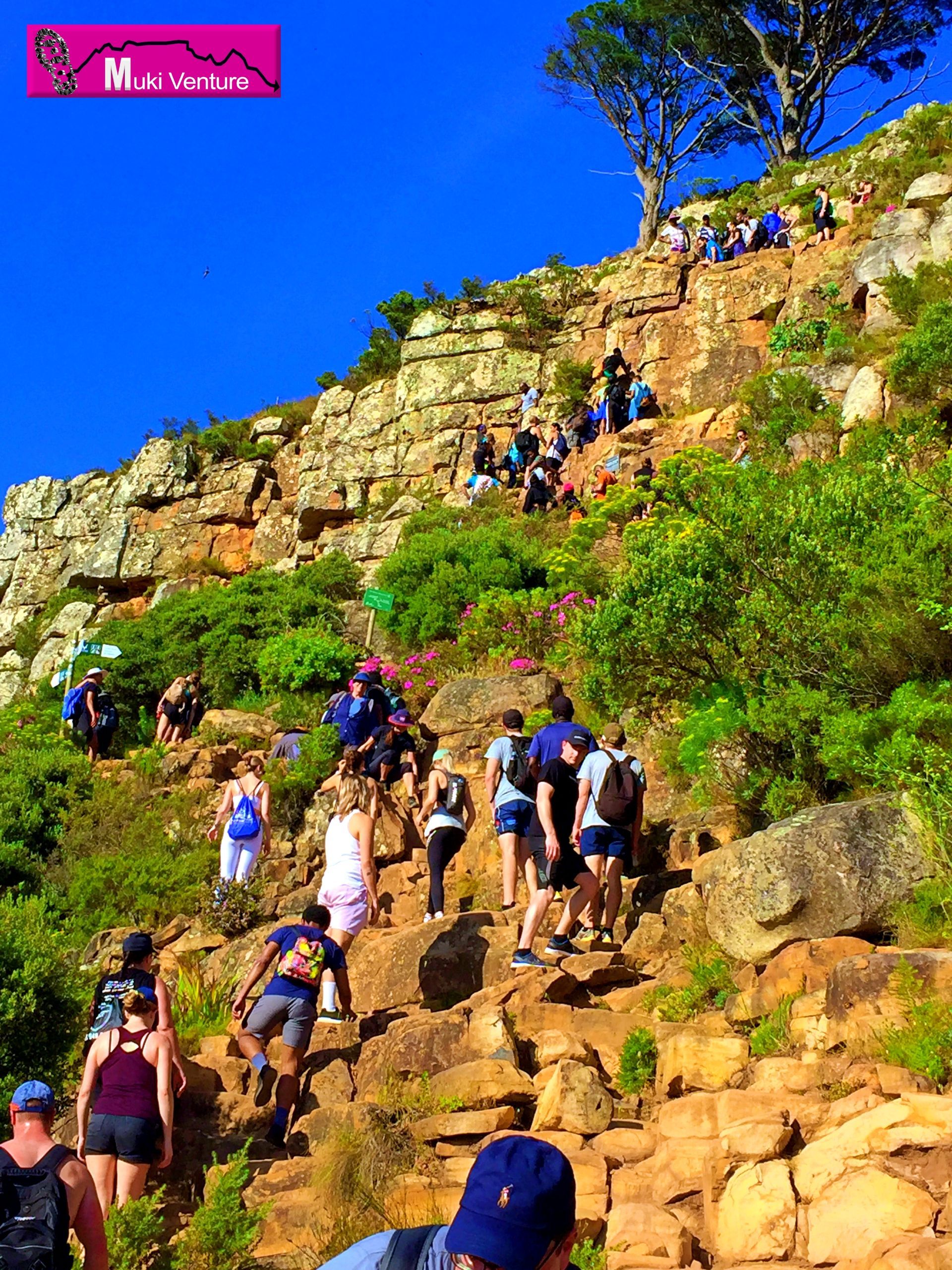 The Table Mountain and Lions Head Guided Tour by Muki Venture is the ultimate adventure for nature enthusiasts and outdoor adventurers. This exciting tour takes you on a thrilling journey to two iconic landmarks in Cape Town, South Africa - Table Mountain and Lions Head.  The tour begins with a knowledgeable and experienced guide who will accompany you throughout the day and provide insightful commentary on the history, geology, and flora/fauna of the region. You will start by conquering Lions Head, a prominent peak offering breathtaking panoramic views of the city, Atlantic Ocean, and surrounding landscape. As you ascend the mountain, you will be amazed by the stunning scenery and unique rock formations.  After the exhilarating hike up Lions Head, you will be treated to a well-deserved break for refreshments and snacks. Take a moment to relax and soak in the awe-inspiring views before continuing your adventure to Table Mountain.  Next, you will board a cable car that will transport you to the summit of Table Mountain, one of the New Seven Wonders of Nature. At the top, you will have the opportunity to explore the diverse ecosystems, hike along various trails, and marvel at the expansive views of Cape Town and its surroundings.  Throughout the tour, your guide will share interesting facts and stories, ensuring a memorable and educational experience. Whether you are a seasoned hiker or a first-time explorer, the Table Mountain and Lions Head Guided Tour by Muki Venture promises to be an unforgettable adventure filled with natural beauty and exhilarating moments.  Don't miss out on this once-in-a-lifetime opportunity to discover these iconic landmarks in Cape Town. Book your guided tour with Muki Venture and get ready to experience the beauty and grandeur of Table Mountain and Lions Head like never before.