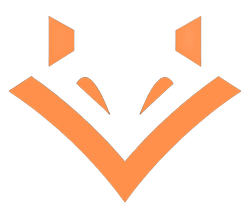 Orange abstract V-shaped logo with mirrored geometric shapes on a white background