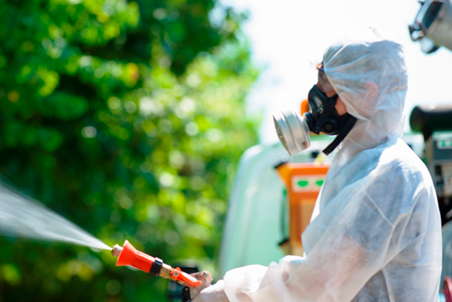 Disinfestazioni derattizzazione deblettizzazione