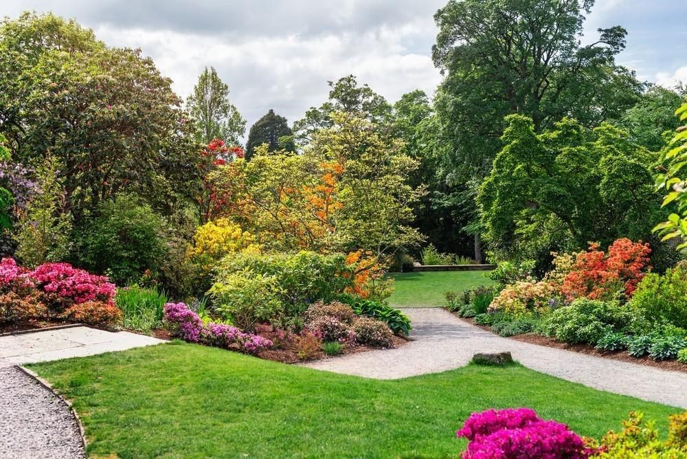 a path in a park surrounded by trees and flowers