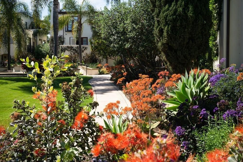 a walkway surrounded by flowers leading to a building