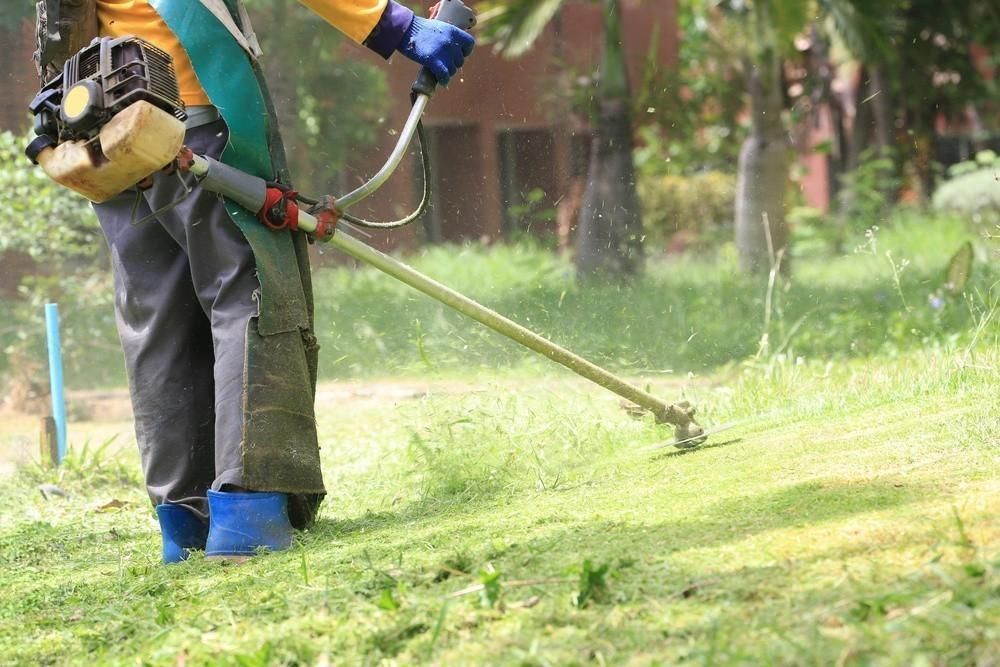 a man is using a lawn mower to cut grass in a yard .