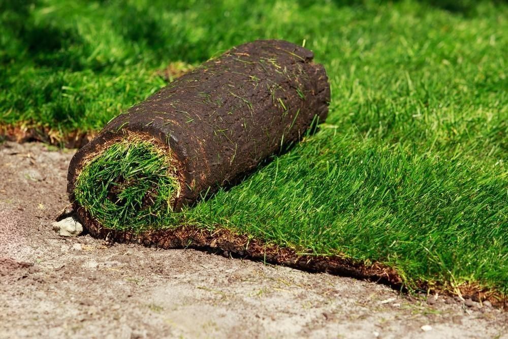 a roll of sod is sitting on top of a lush green lawn .