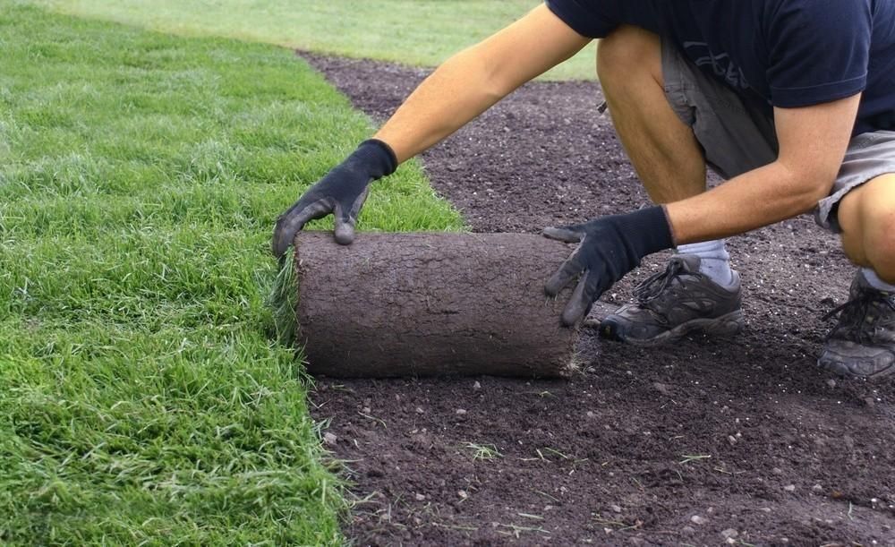 a man is rolling a roll of grass on a lawn .