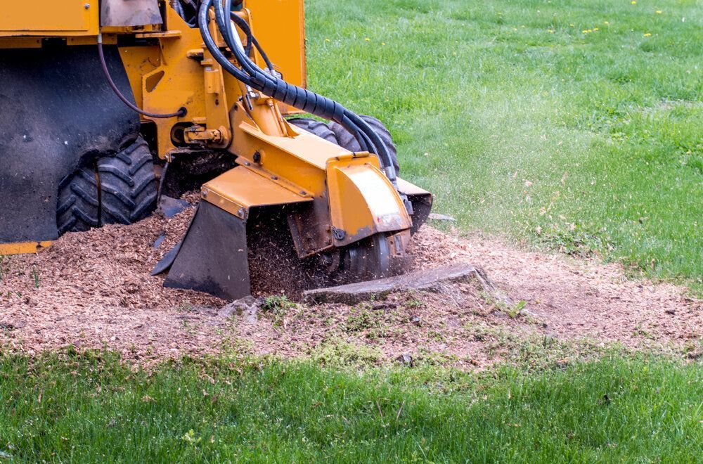 a yellow stump grinder is grinding a tree stump in a lush green field .