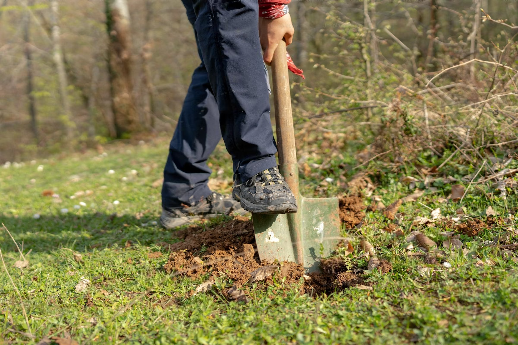 a person is digging a hole in the ground with a shovel .