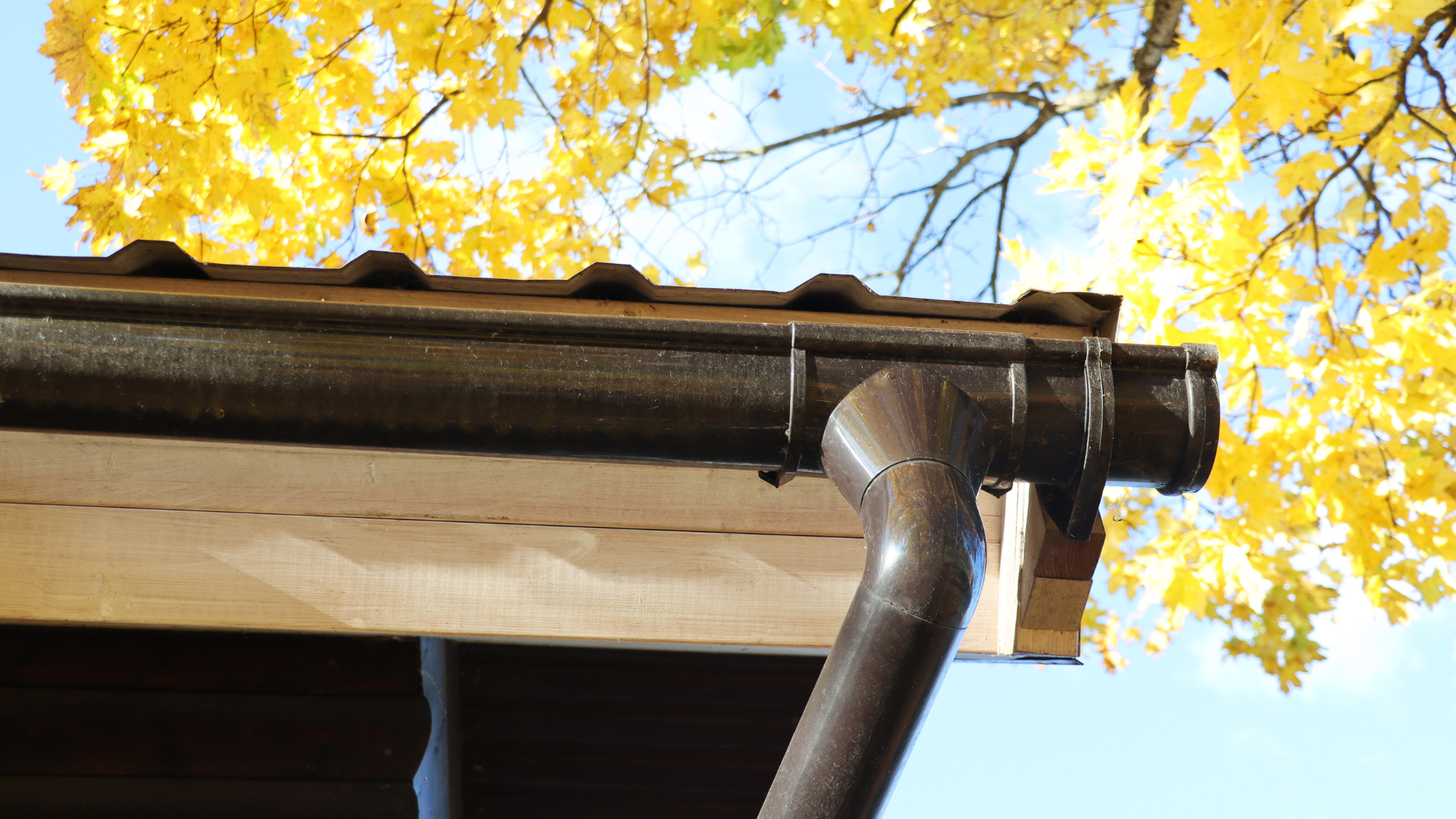 Brown rain gutter and downspout on a roof, with golden autumn leaves in the background.