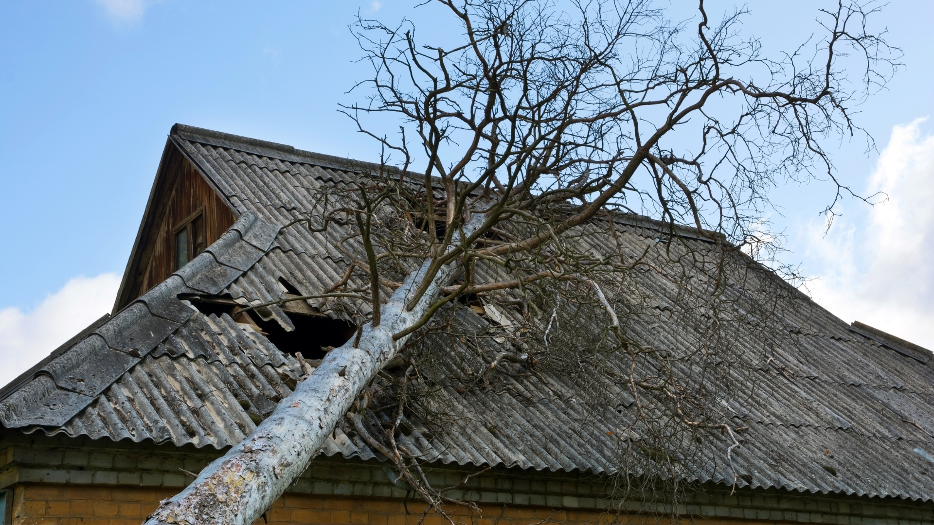 Tree fallen on damaged roof of a house with a blue sky background.