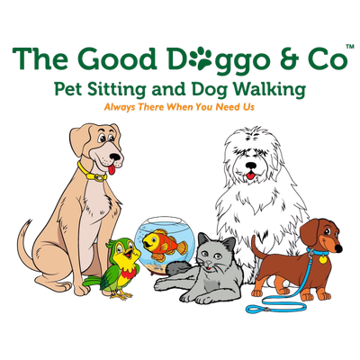 doggo website